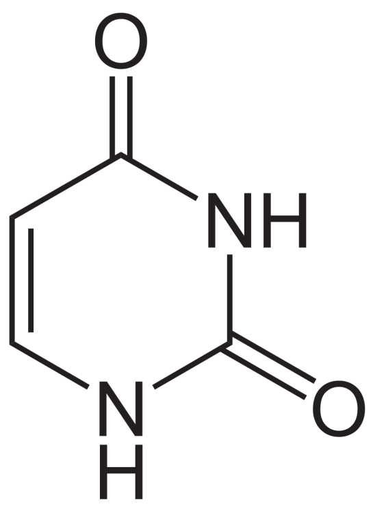 Uracil, a simple organic molecule