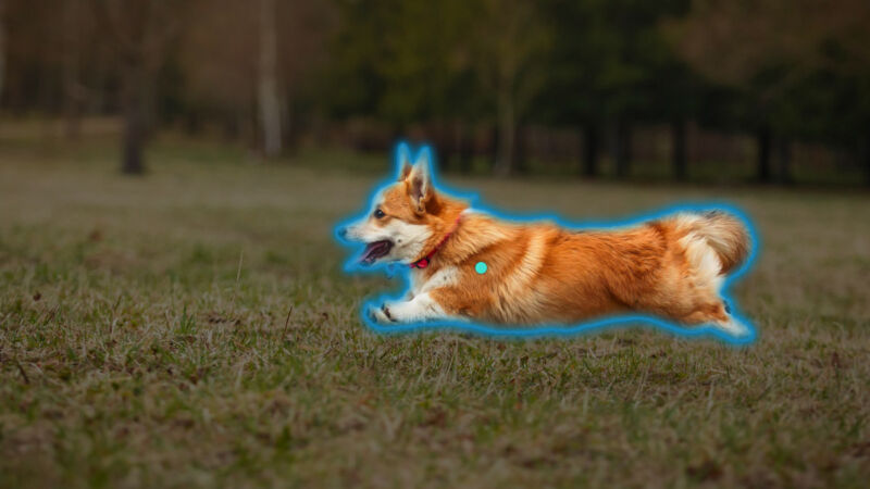 An example of SAM selecting the outline of a Corgi in a photo.