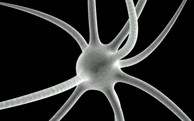 A computer illustration of a neuron.
