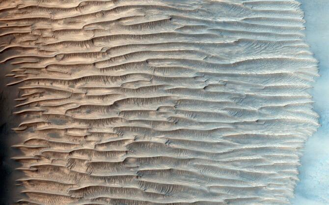 Transverse Aeolian Ridges (TARs) on Mars